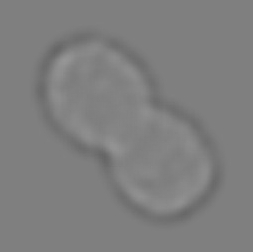 diff image